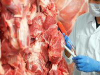 Foto ( Ein kleiner Einblick in unsere Produktion)