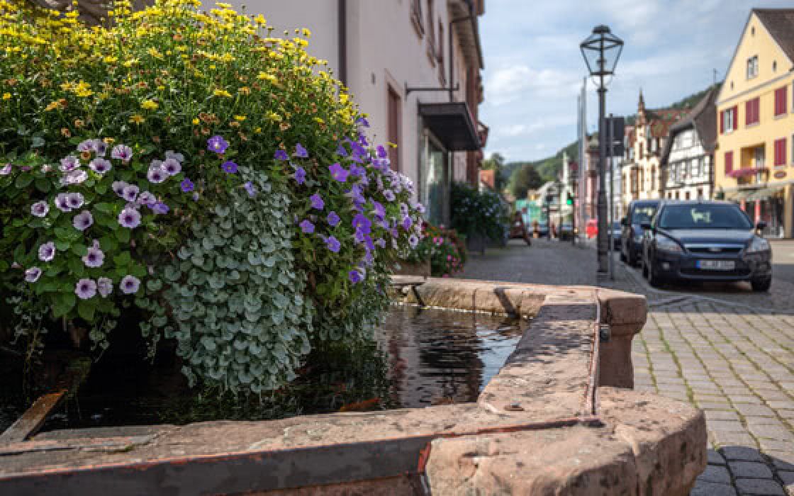 Foto (Zell am Harmersbach (Ortenaukreis, Schwarzwald))