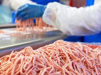 Foto ( Ein kleiner Einblick in unsere Produktion)